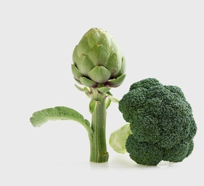 Brócoli y alcachofa frescos sobre fondo blanco