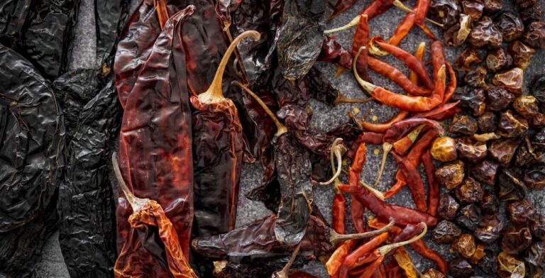 Variedad de chiles secos mexicanos en una superficie gris