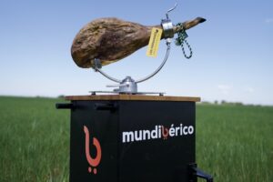 Jamón ibérico de bellota en un soporte en un campo verde