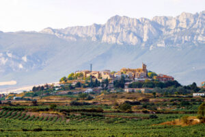 Vista panorámica de Rioja Alavesa con viñedos y montañas