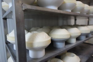 Quesos artesanales en proceso de curación en estantes de metal