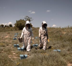 Dos apicultoras trabajando en un campo con colmenas azules