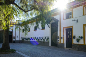 Vista del patio de la bodega Toro Albala con plantas decorativas