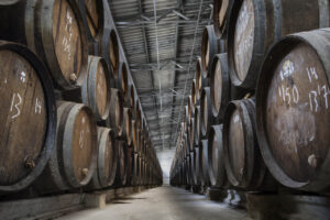 Barricas de madera en la bodega Toro Albala