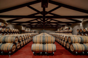 Vista interior de la bodega con barricas de vino en Dehesa de los Canónigos
