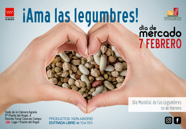 Manos formando un corazón con legumbres variadas para el Día de Mercado