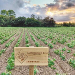 Campo de cultivo de La Despensa D'Lujo con señalización de Inditex