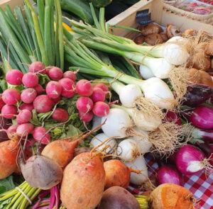 Variedad de verduras frescas en un mercado local
