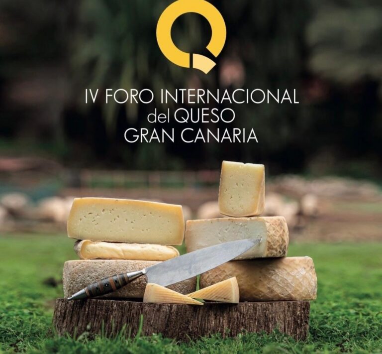 Varios tipos de queso de Gran Canaria sobre una tabla de madera