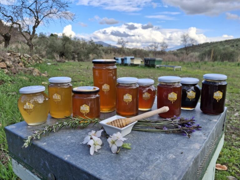 Tarros de miel de Málaga en un entorno natural con flores