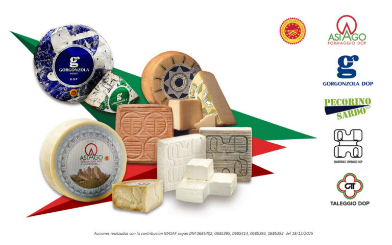 Variedad de quesos italianos DOP en una presentación colorida