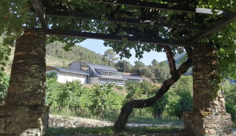 Vista de la bodega Godeval entre viñedos en Valdeorras