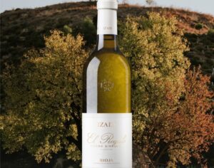 Botella de vino blanco El Regalo de Bodegas Izadi en un viñedo