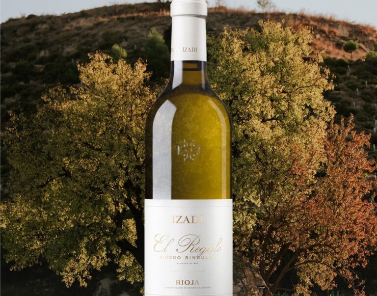 Botella de vino blanco El Regalo de Bodegas Izadi en un viñedo