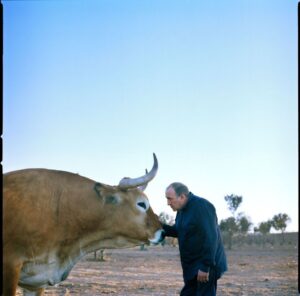 José Gordón interactuando con un buey en su finca de El Capricho