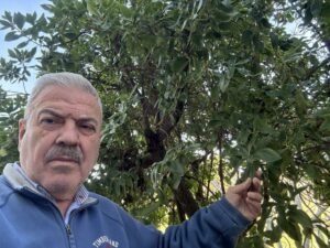 Luis Pacheco mostrando un árbol con frutas en su huerto
