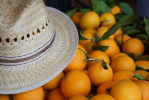 Sombrero de paja sobre naranjas frescas en un mercado