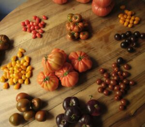Variedades de tomates frescos sobre una mesa de madera