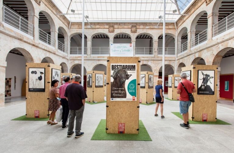 Exposición Bestiarium en el Palacio de Valdeparaíso con visitantes observando
