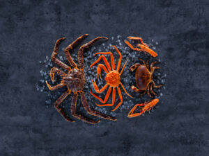 Cangrejos y langostas sobre una superficie oscura con sal