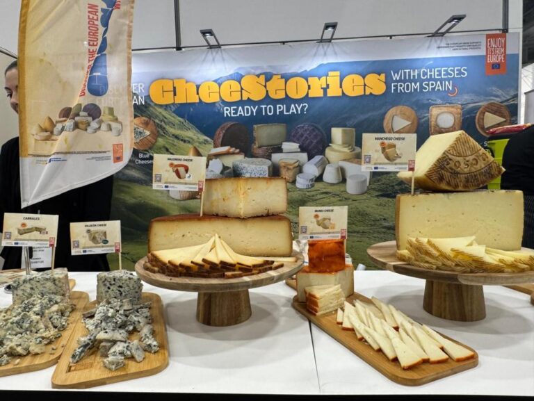 Mesa con diferentes tipos de quesos españoles en evento promocional