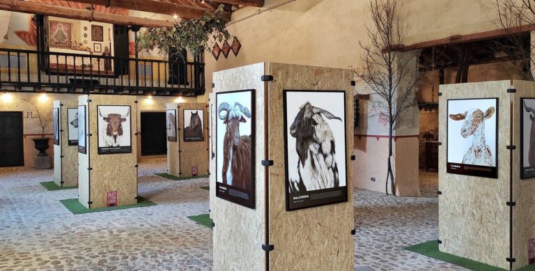 Exposición fotográfica Bestiarium en la Casa de la Monta en Aranjuez