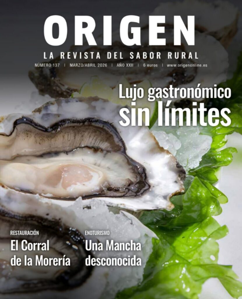 Hamburguesas gourmet presentadas en un plato con guarnición