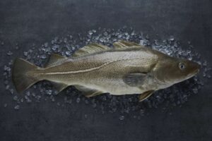 Bacalao noruego fresco sobre hielo en una superficie oscura