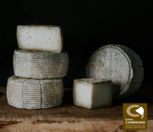 Queso Camerano en diferentes formas sobre una tabla de madera