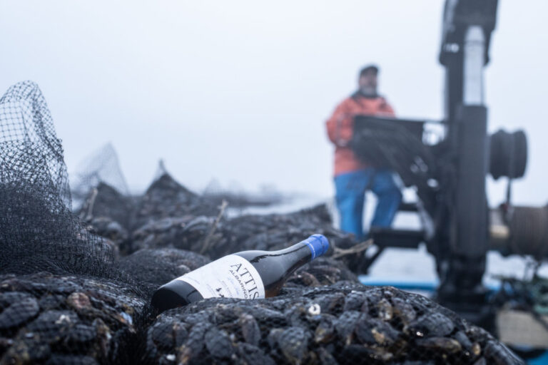 Botella de Attis Albariño sobre una red de mejillones en el mar.