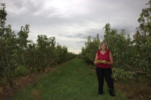 Mujer sosteniendo peras en un huerto de Rincón de Soto