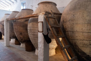 Interior de la bodega del Doctor Plaza con tinajas de barro