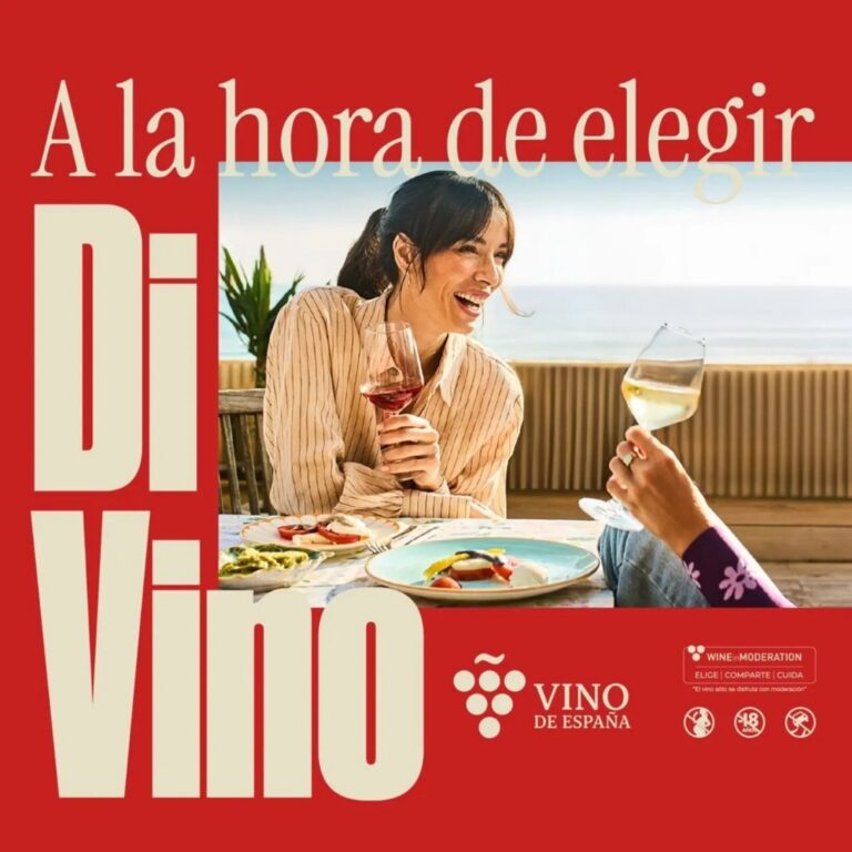 Mujeres disfrutando vino en una comida al aire libre
