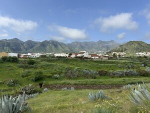 Vista panorámica de un paisaje verde en Gran Canaria con montañas al fondo