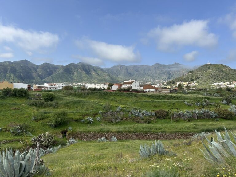 Vista panorámica de un paisaje verde en Gran Canaria con montañas al fondo