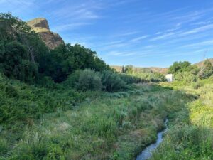 Vista del valle del Alhama con vegetación exuberante y un río