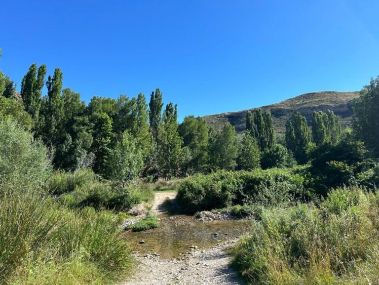 Vista del Valle del Alhama con vegetación y un arroyo