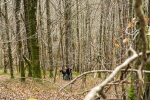 Carlos Urrutikoetxea buscando setas en un bosque