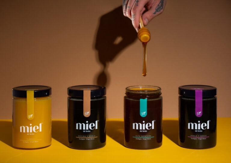 Tarros de miel de León con diferentes variedades y un fondo colorido