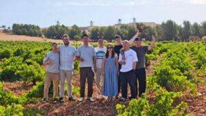 Grupo de profesionales chinos en viñedos de La Mancha