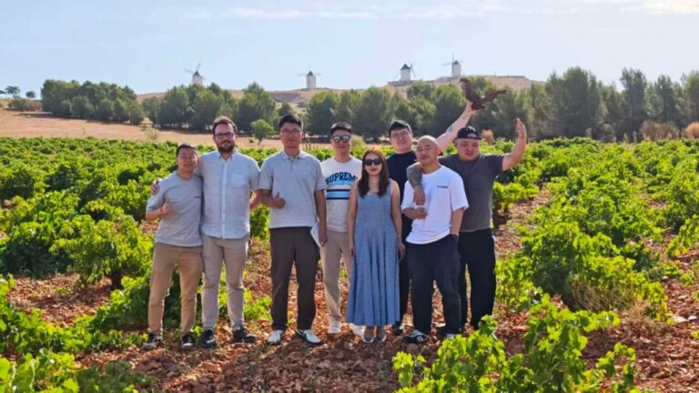 Grupo de profesionales chinos en viñedos de La Mancha