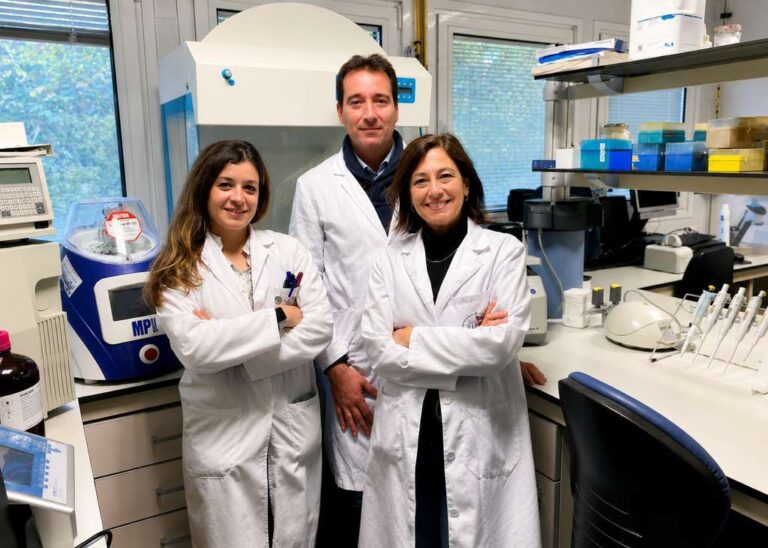 Investigadores de la Universidad de Jaén en un laboratorio de investigación.