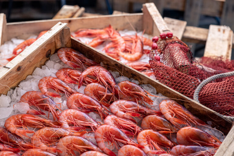 Gambas rojas frescas en una lonja de Almería sobre hielo