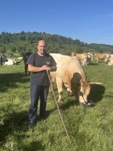 Ganadero en el Valle del Oja cuidando de sus vacas en un prado verde.