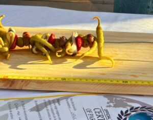 Gilda más grande del mundo presentada en Jerez con ingredientes típicos