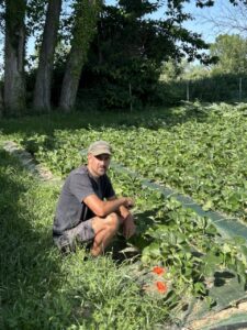 Hombre sentado en un campo de fresas rodeado de plantas verdes