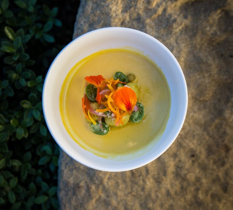 Plato de sopa fría con flores y vegetales frescos