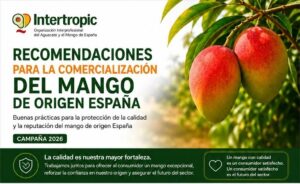 Recomendaciones para la comercialización del mango de origen España