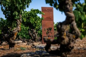 Señalización de un viñedo centenario en Rioja con vides antiguas