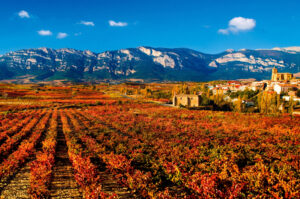 Vista panorámica de viñedos en un paisaje montañoso durante el otoño